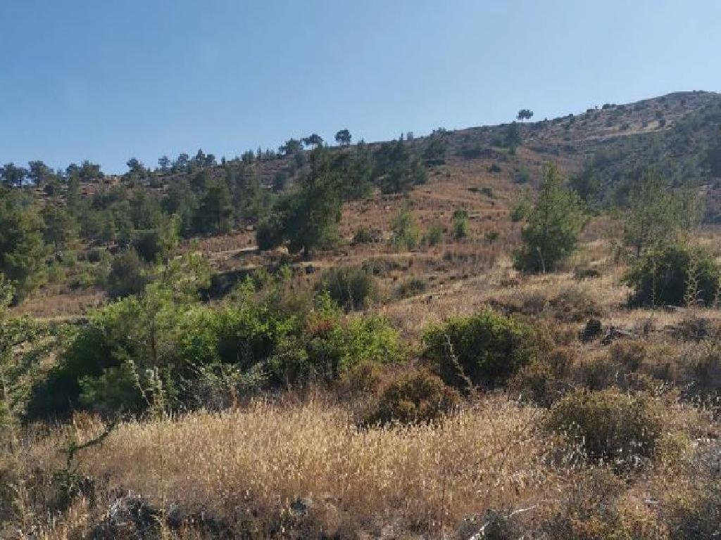 Field - Kapedes, Nicosia