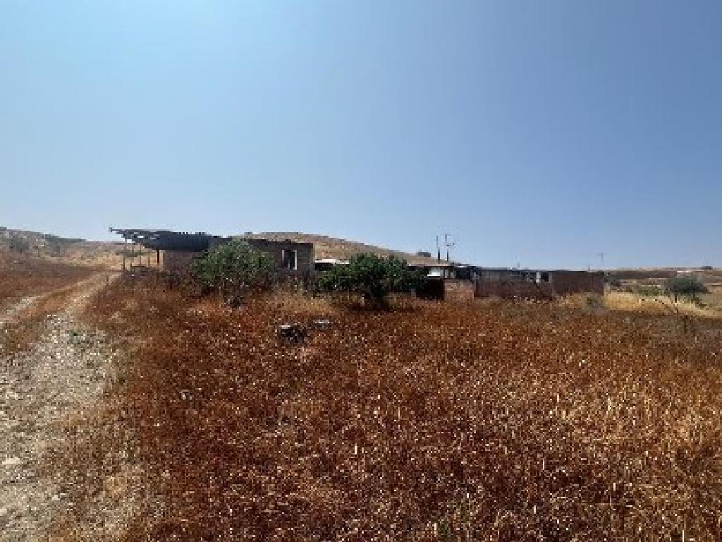 Field-Orounta-PR45066