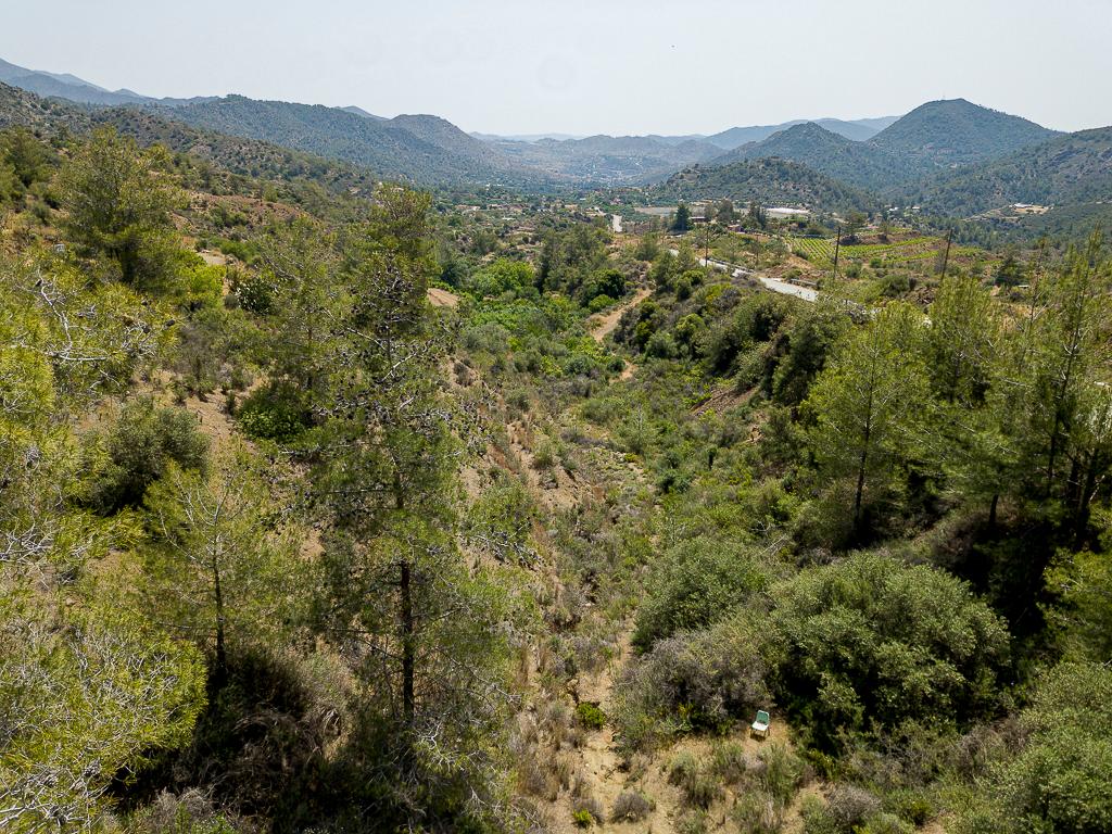 Field-Kalo Chorio-PR32810