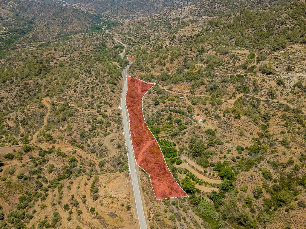 Field-Kalo Chorio-PR32810