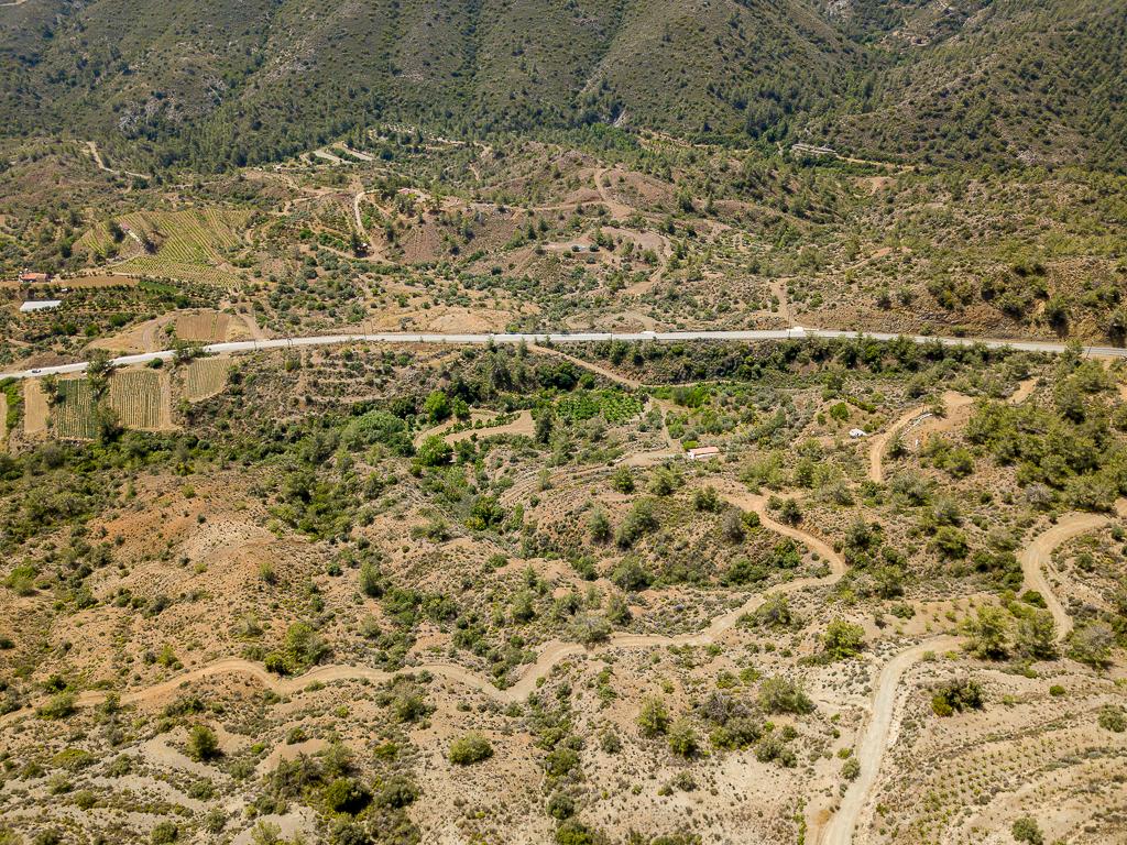 Field-Kalo Chorio-PR32810