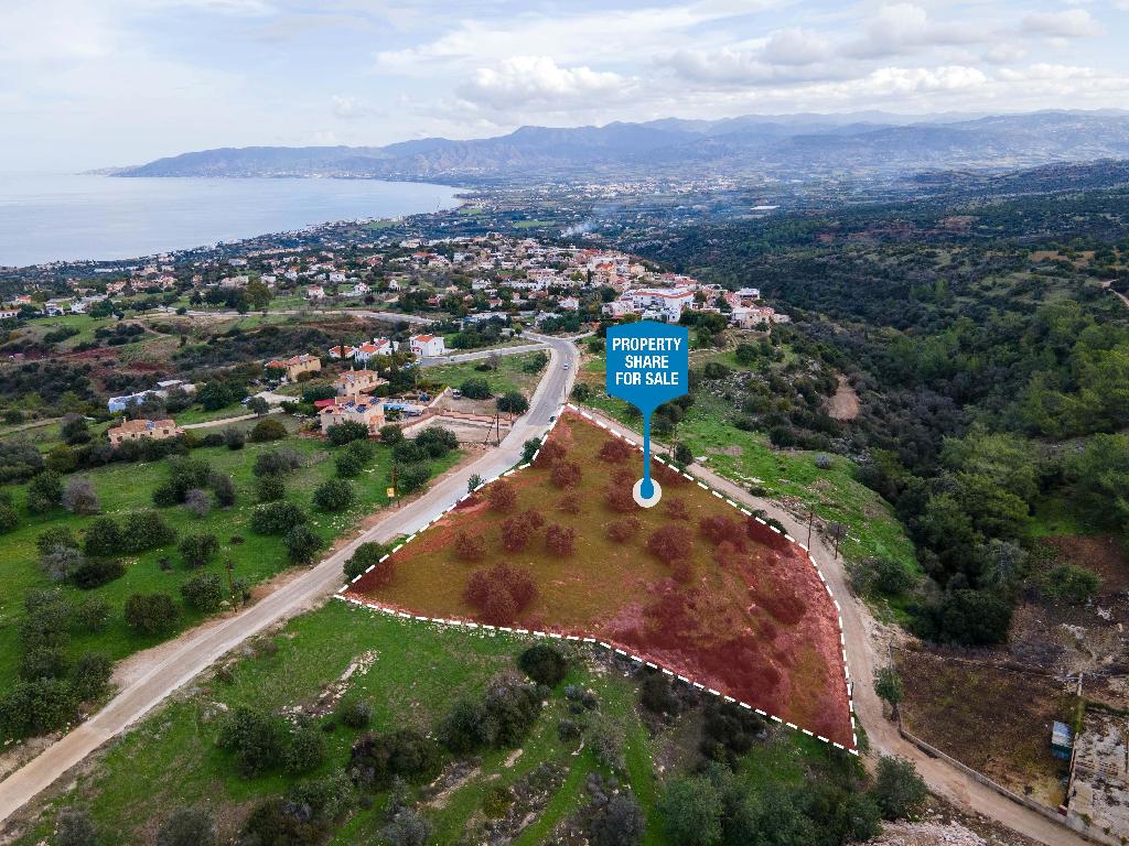 Field (Share) - Neo Chorio, Paphos