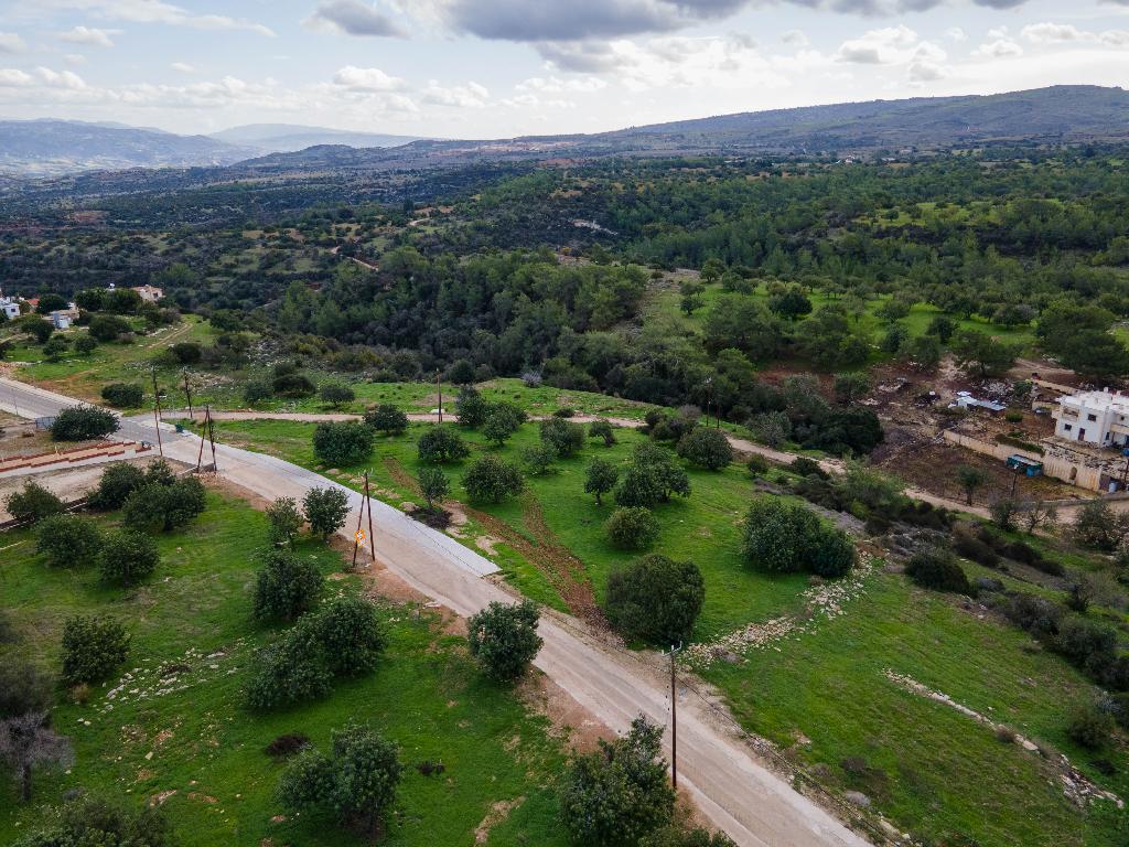 Field (Share) - Neo Chorio, Paphos