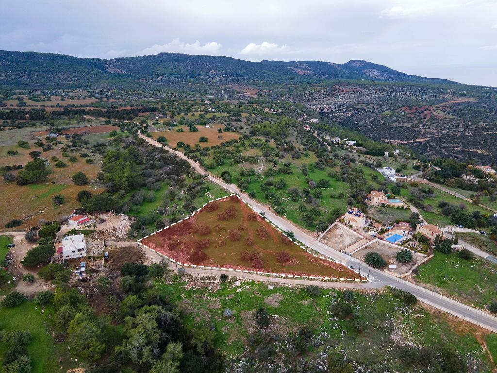 Field (Share) - Neo Chorio, Paphos