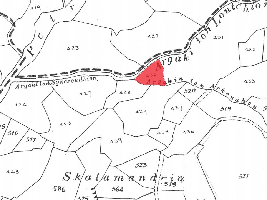 Field-Pentalia-PR34646