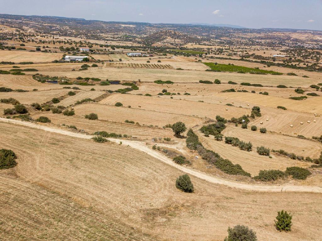 Field - Pissouri, Limassol