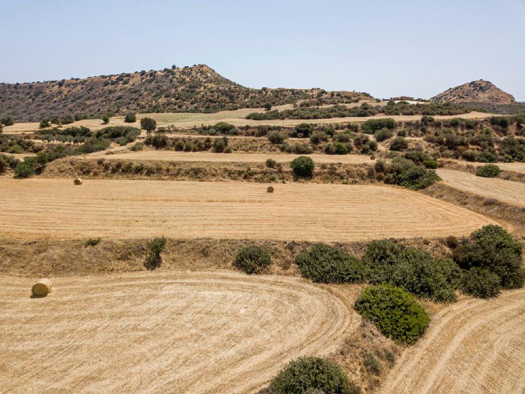 Field - Pissouri, Limassol