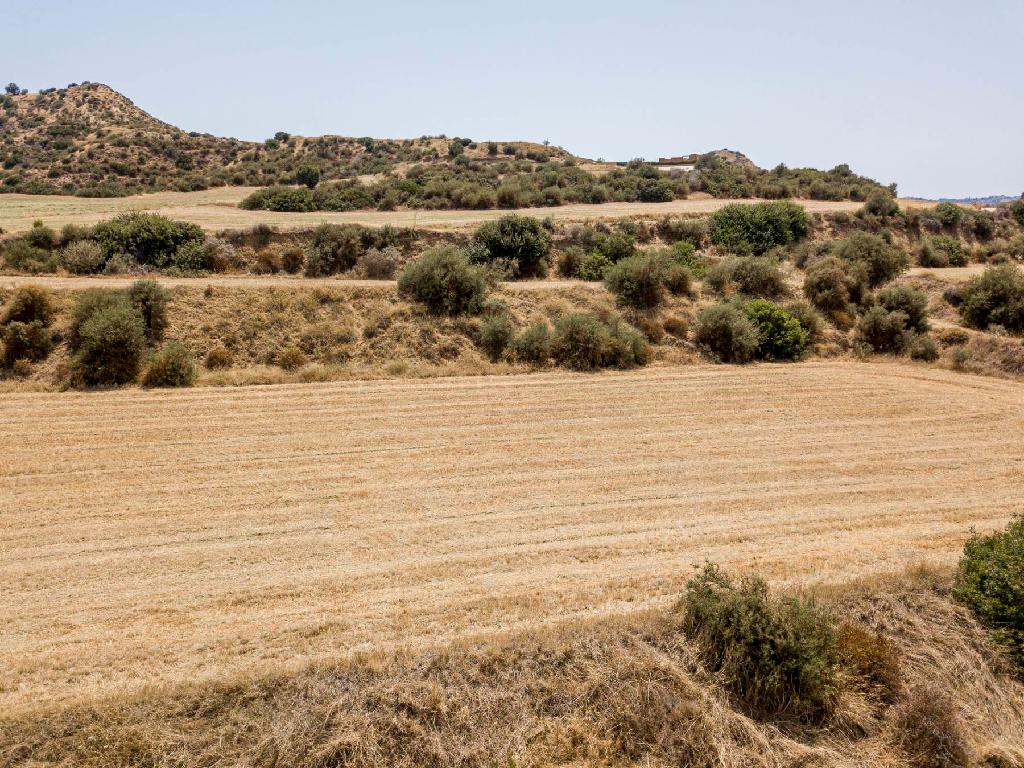 Field-Pissouri-PR35323