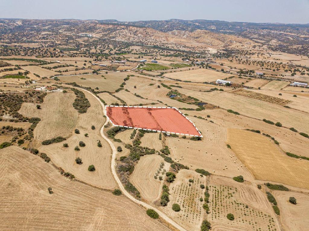 Field - Pissouri, Limassol