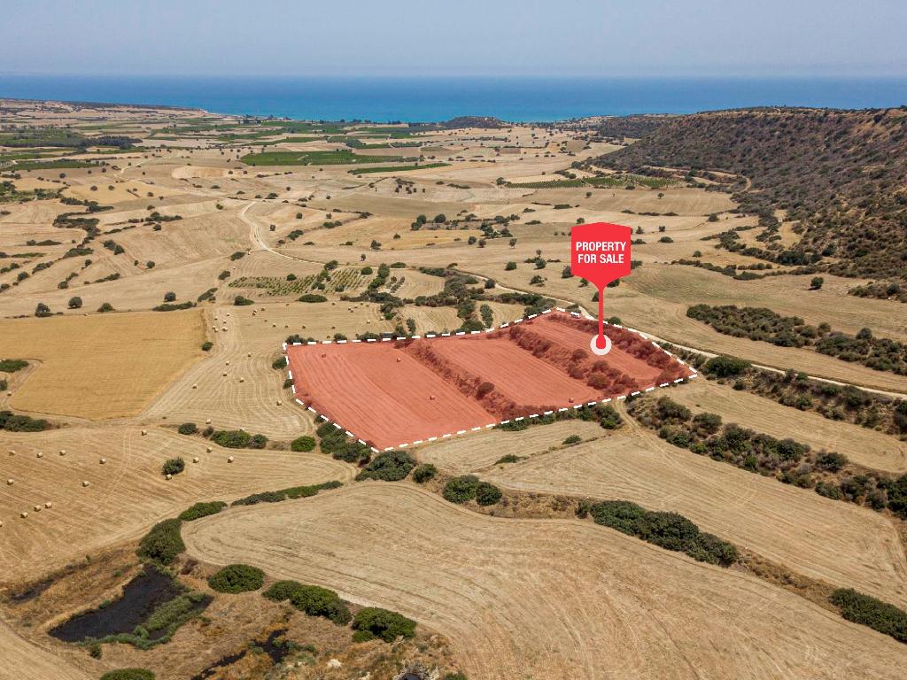 Field - Pissouri, Limassol