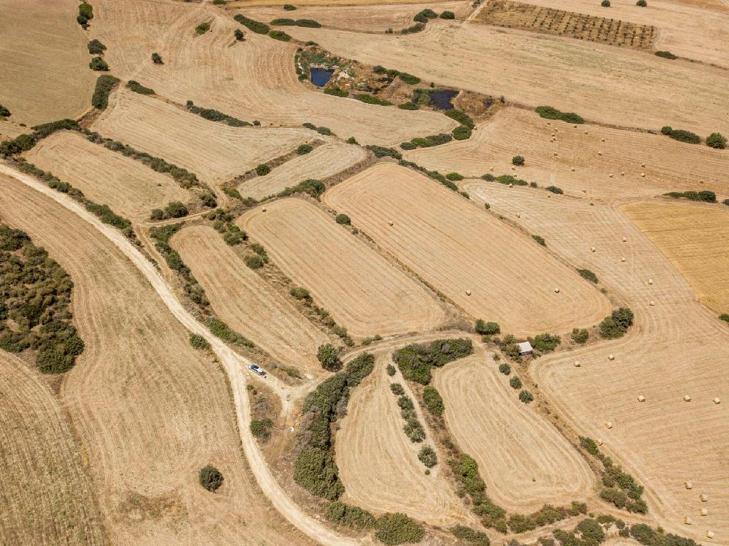 Field - Pissouri, Limassol