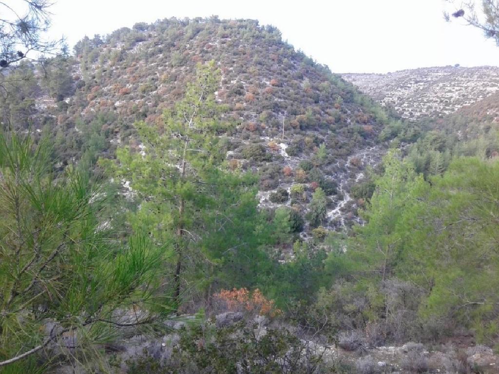 Field-Agios Therapon-PR36492