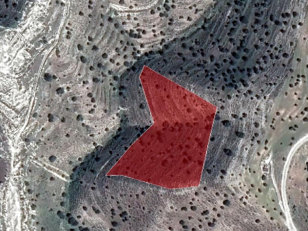 Field-Agia Anna-PR36834