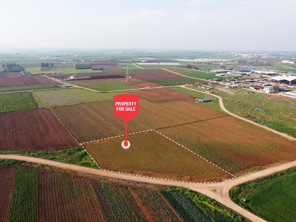 Field - Ormideia, Larnaca