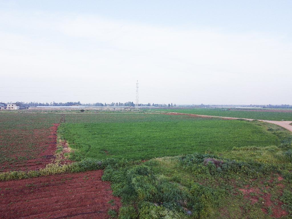Field - Ormideia, Larnaca
