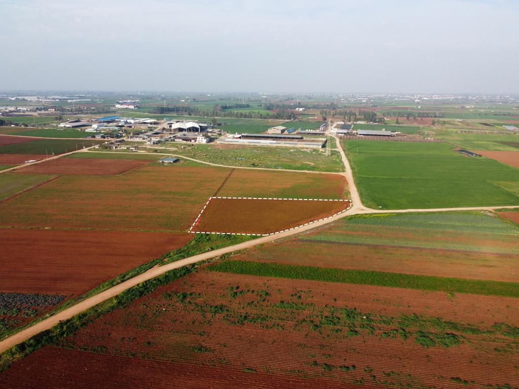 Field - Ormideia, Larnaca