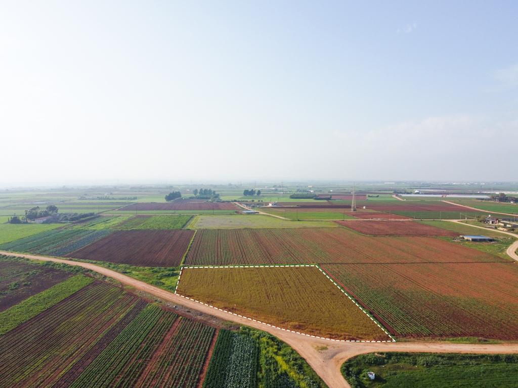Field - Ormideia, Larnaca