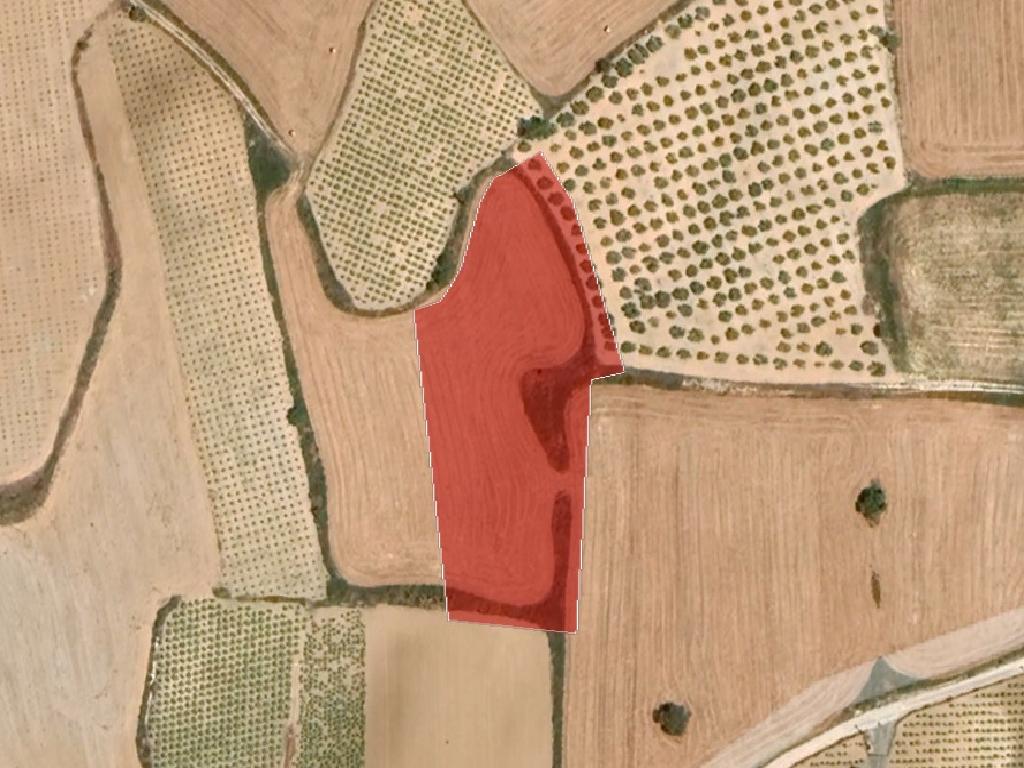 Field-Akoursos-PR37353