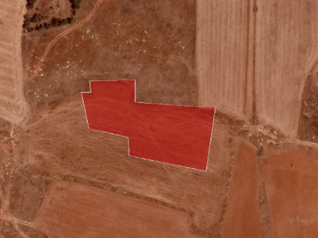 Field-Xylofagou-PR37392