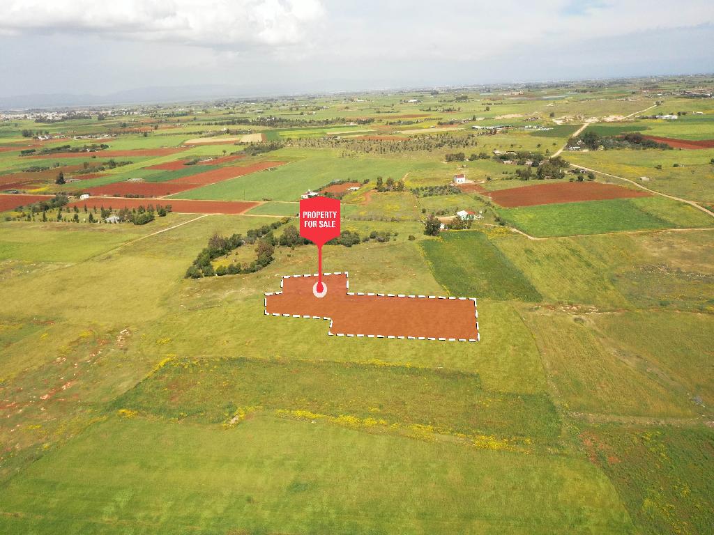 Field-Xylofagou-PR37392