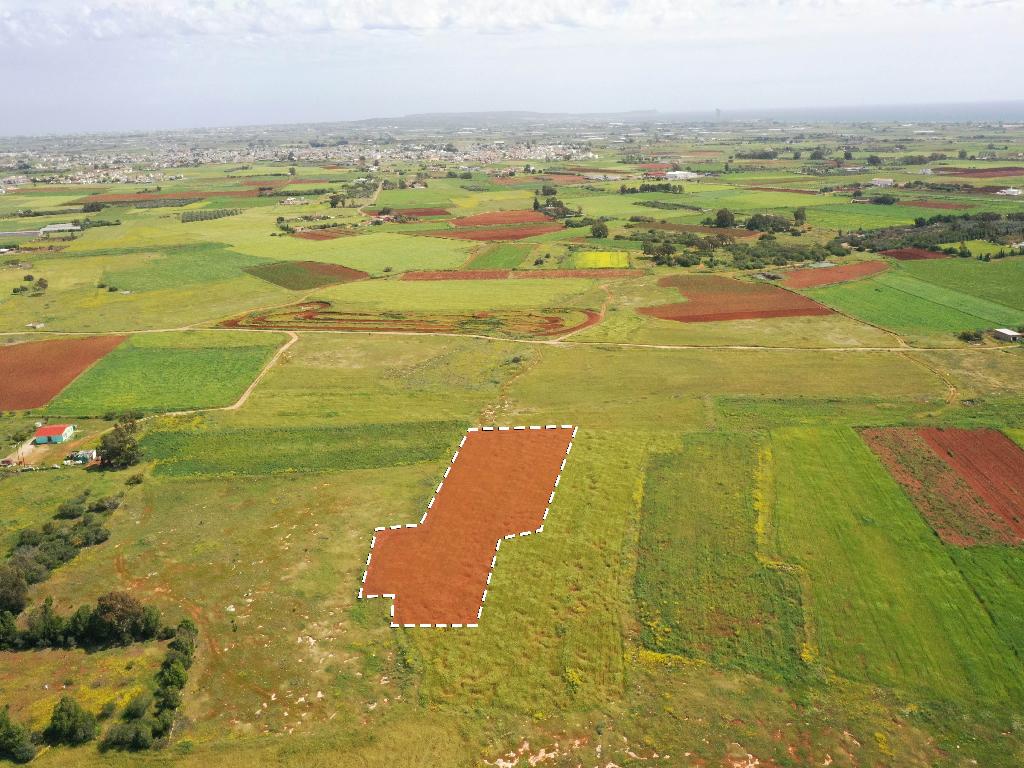 Field-Xylofagou-PR37392