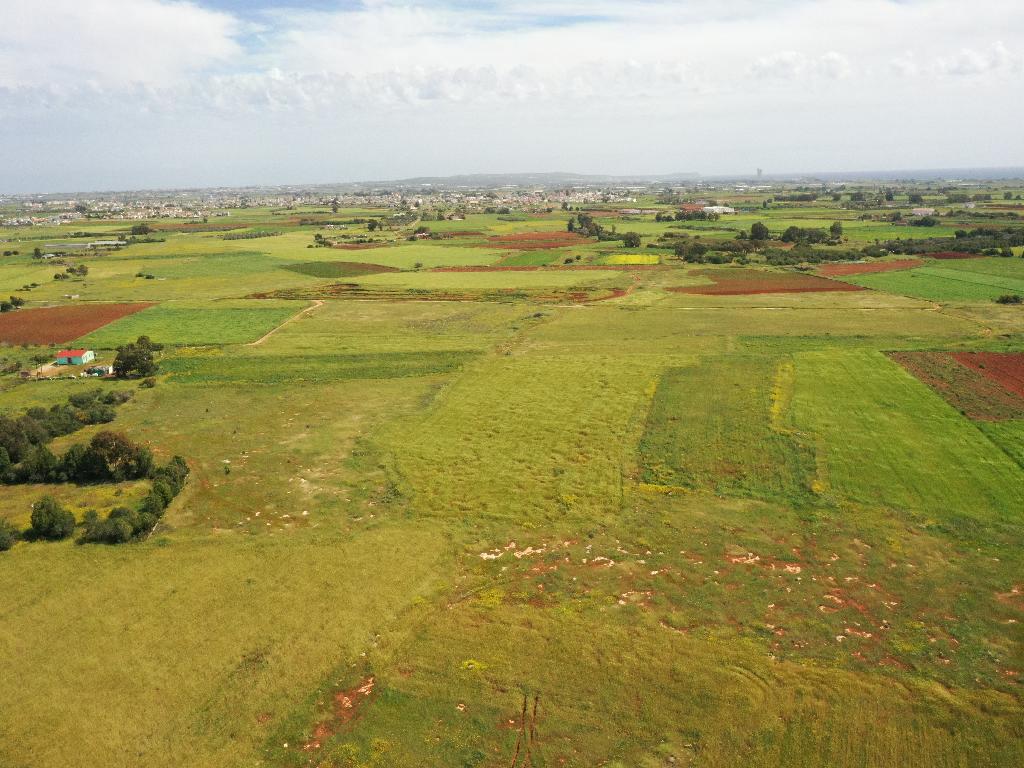 Field-Xylofagou-PR37392