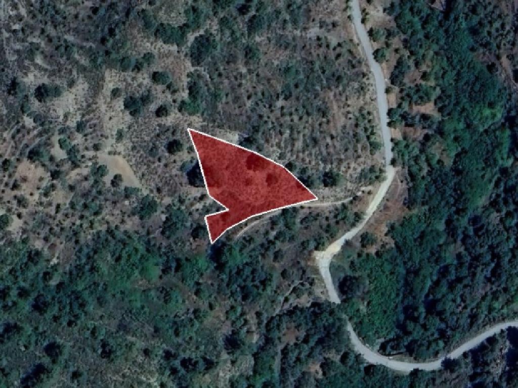 Field-Fterikoudi-PR40003