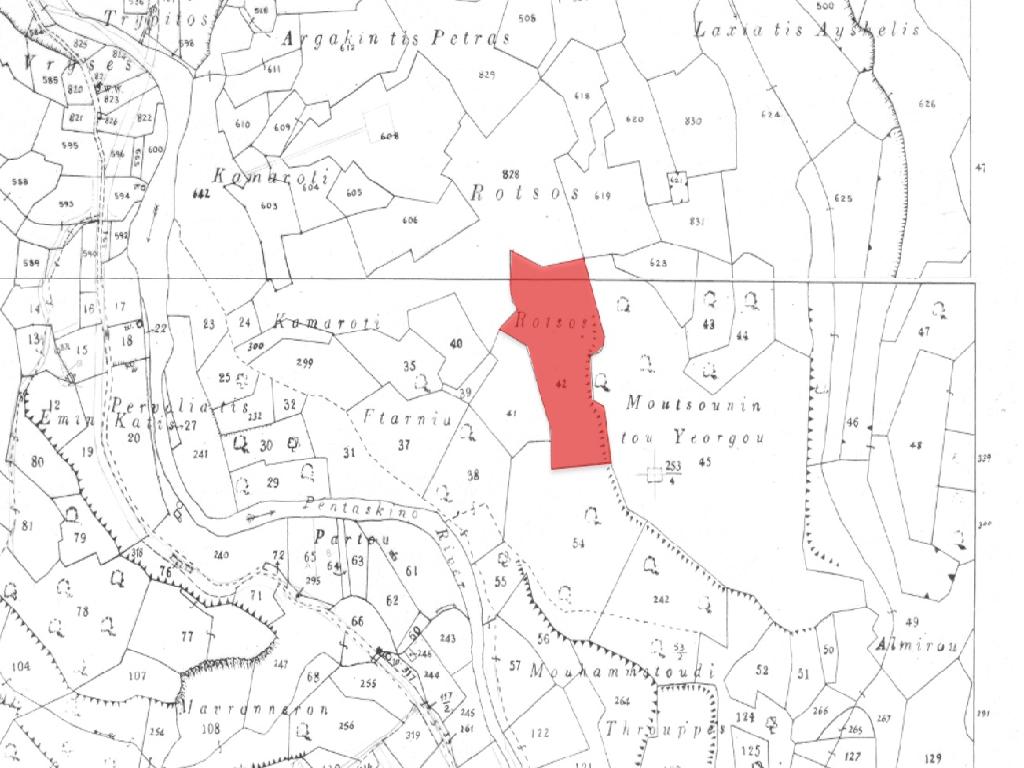 Field-Agios Theodoros-PR40545