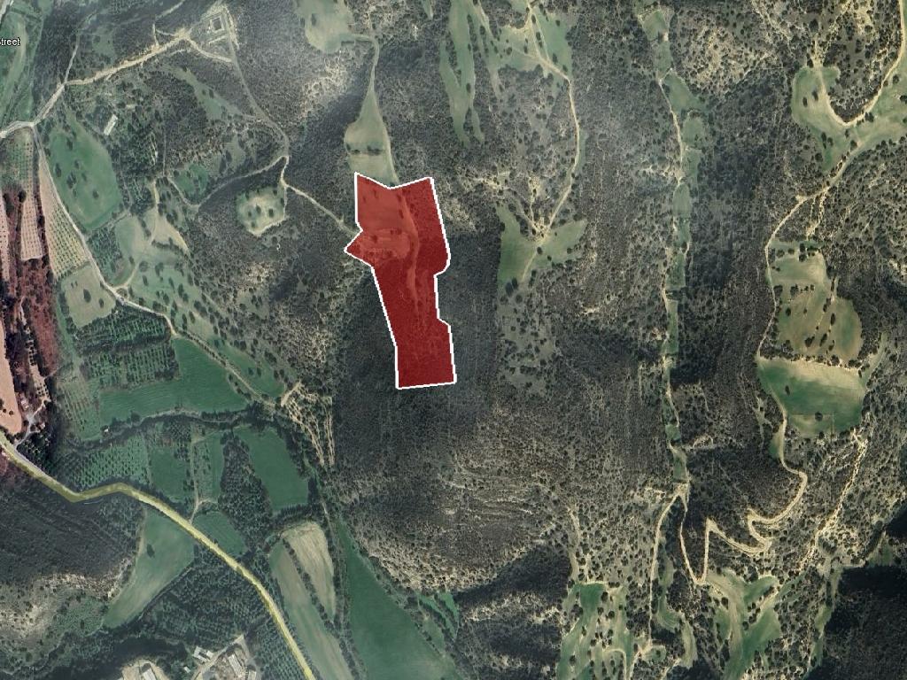 Field-Agios Theodoros-PR40545