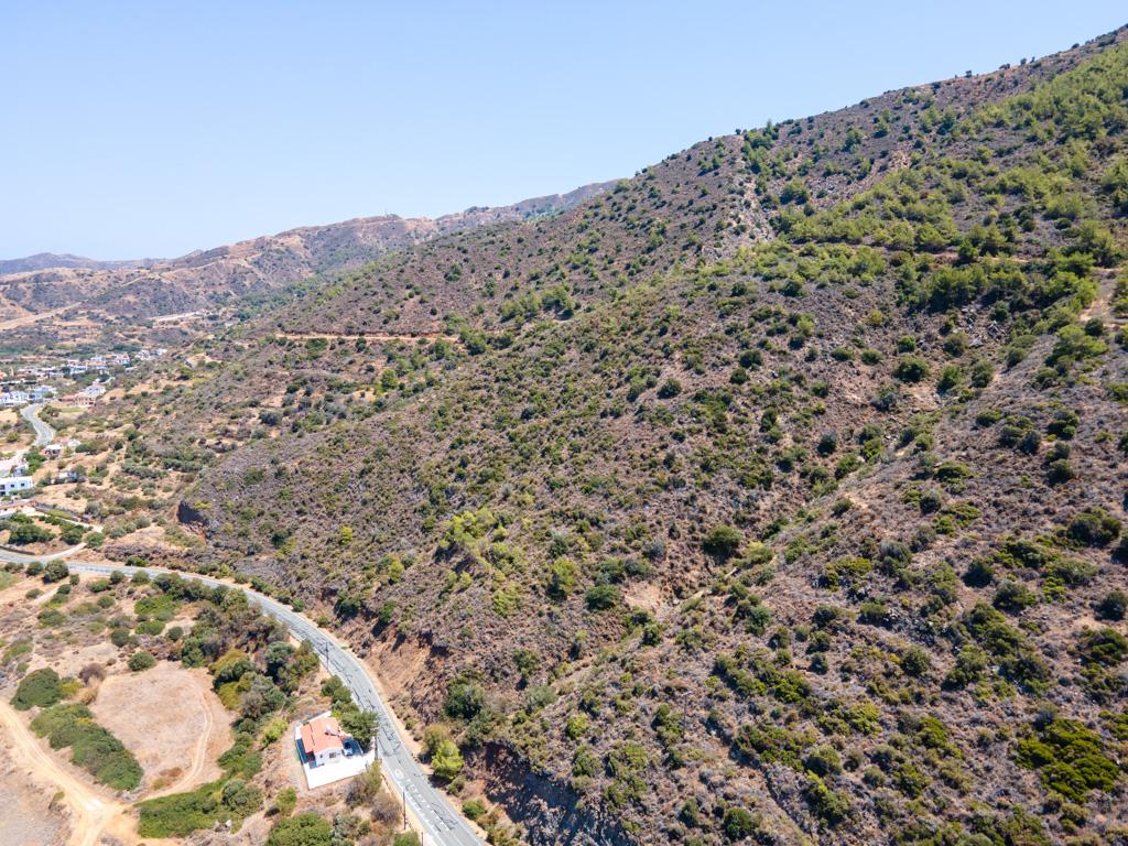 Field-Pachyammos-PR40701