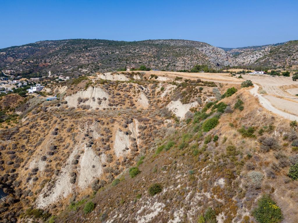 Field-Steni-PR40783
