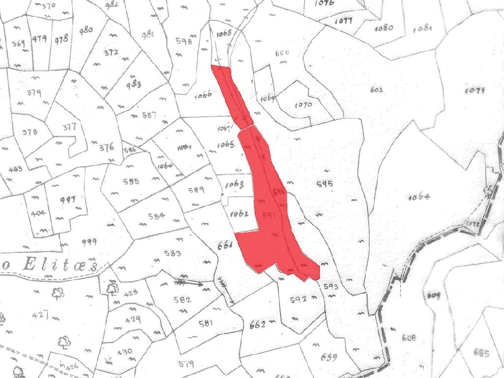 Field-Pachna-CP10071
