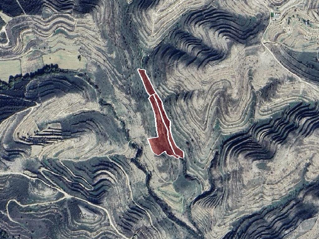 Field-Pachna-CP10071