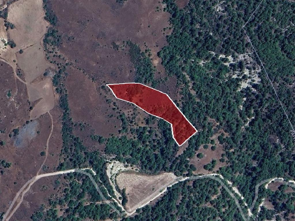 Field - Prastio, Paphos