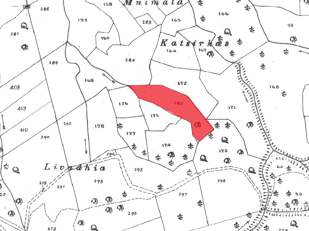 Field - Prastio, Paphos