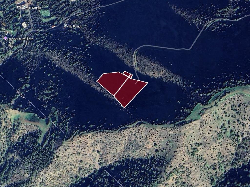 Field-Pomos-CP10082