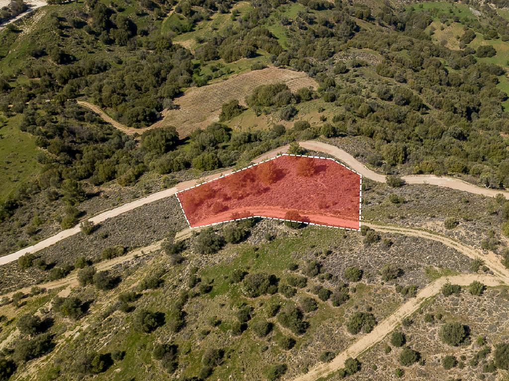 Field-Statos - Agios Fotios-PR42343