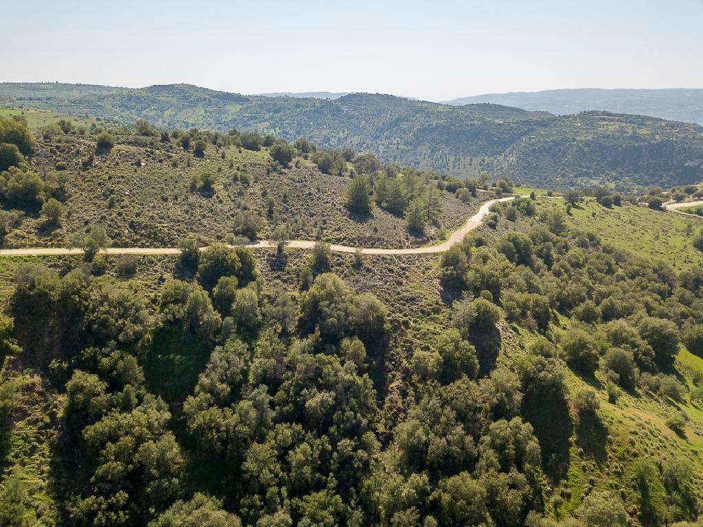Field-Statos - Agios Fotios-PR42343