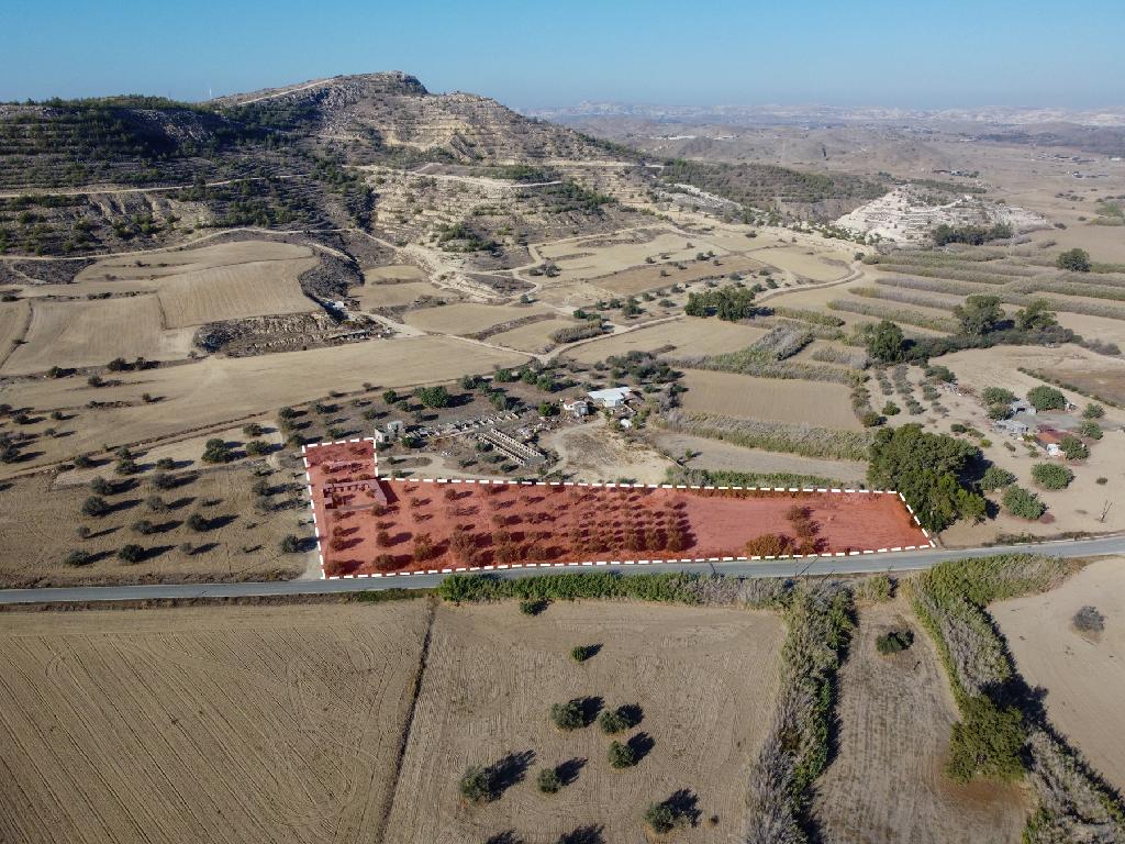 Χωράφι (Μερίδιο) - Ορόκλινη, Λάρνακα