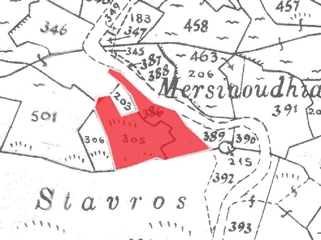 Field-Platanistasa-CP10235