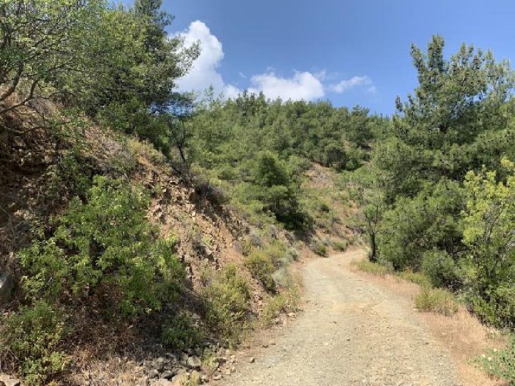 Field-Platanistasa-CP10235