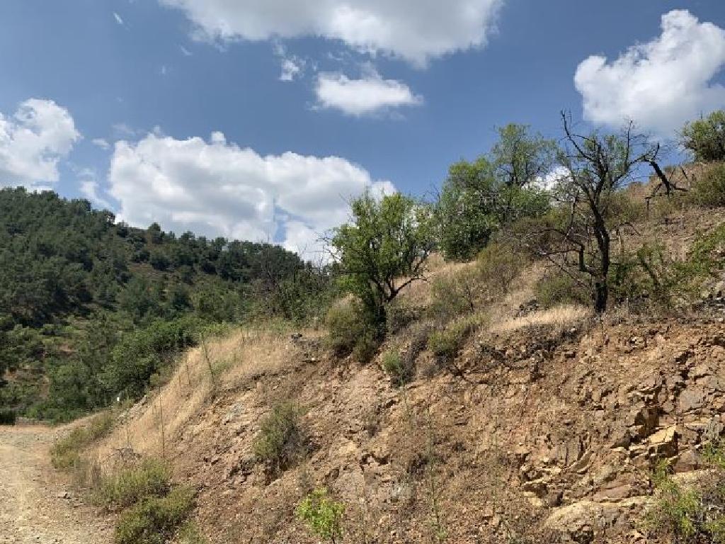 Field-Platanistasa-CP10235