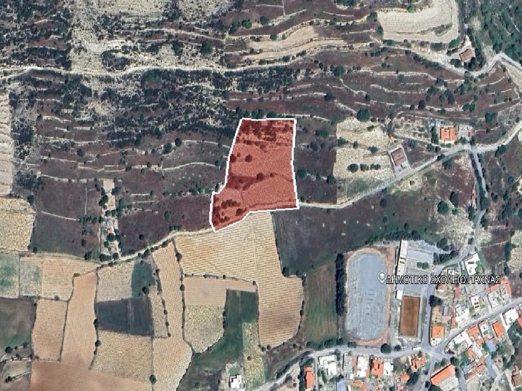 Field (Share) - Pachna, Limassol