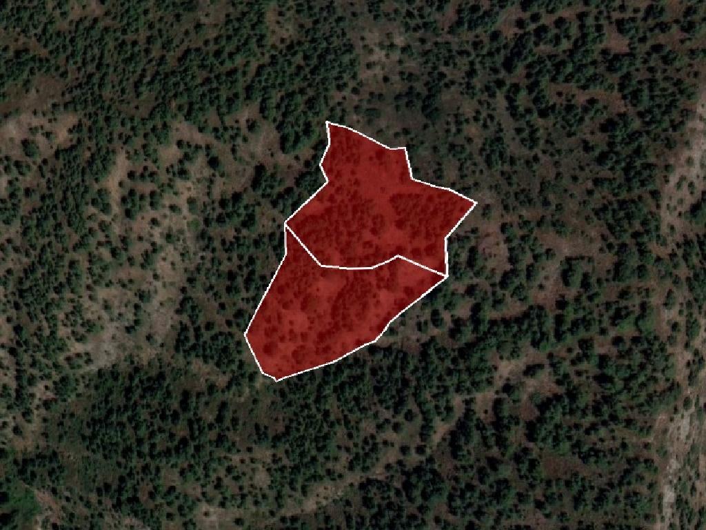 Field-Farmakas-PR10304