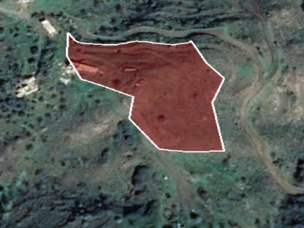 Field-Pigenia-PR13557