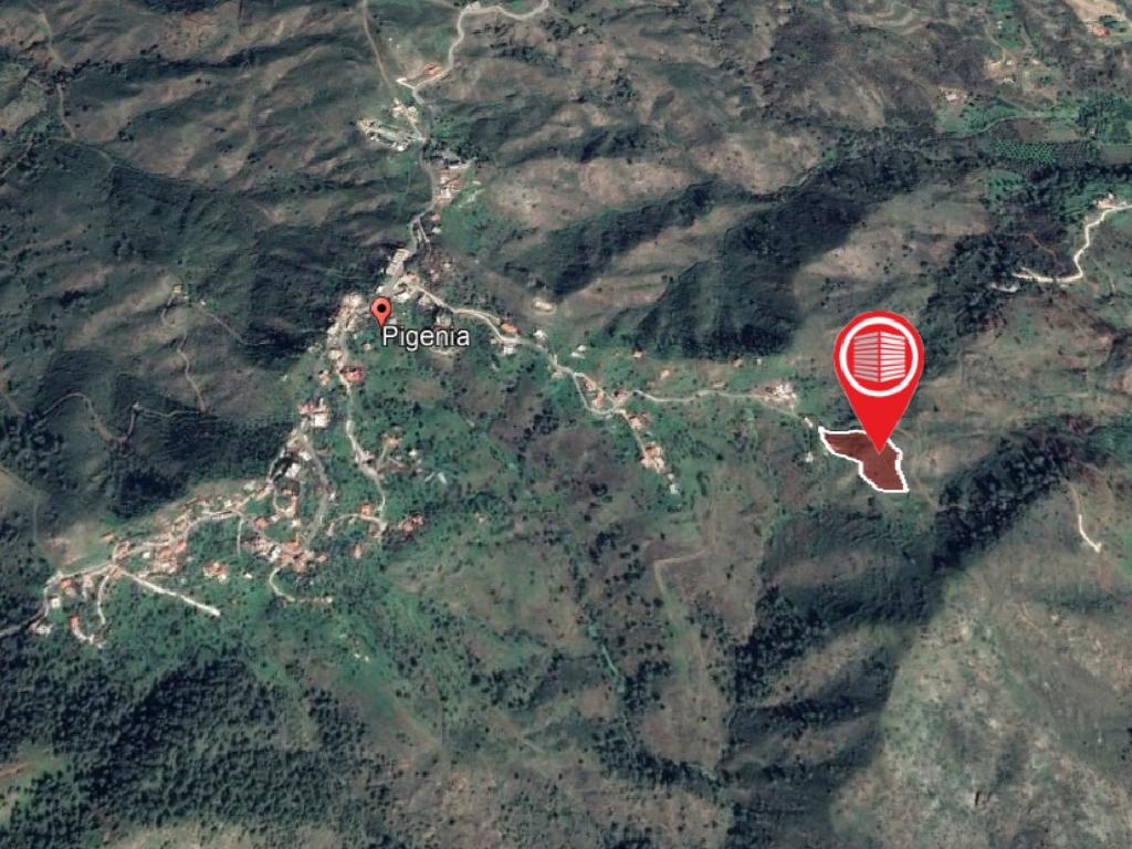 Field-Pigenia-PR13557