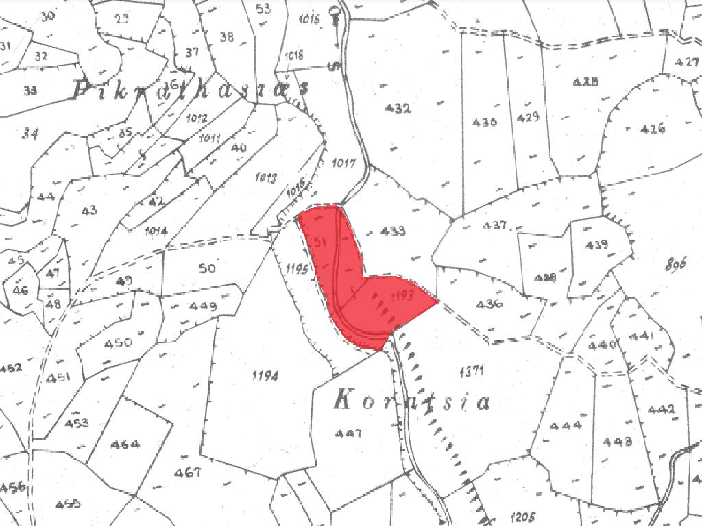 Field-Koilani-PR32491
