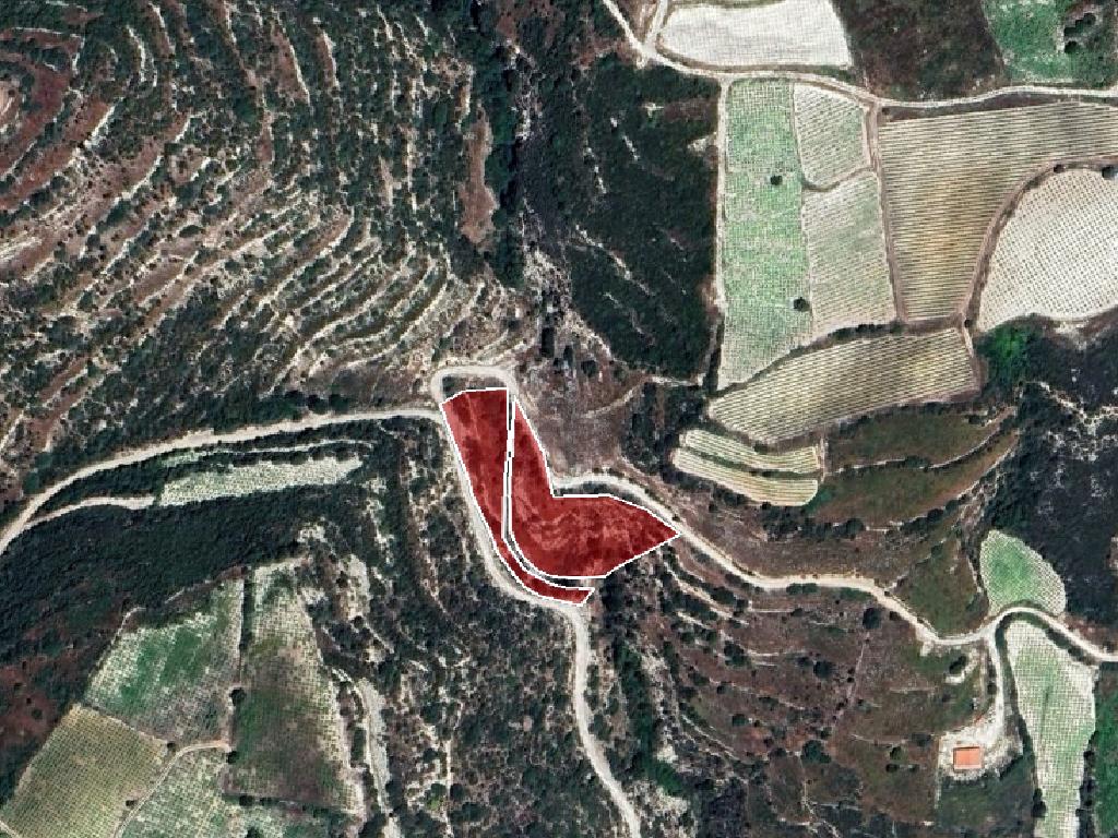 Field-Koilani-PR32491