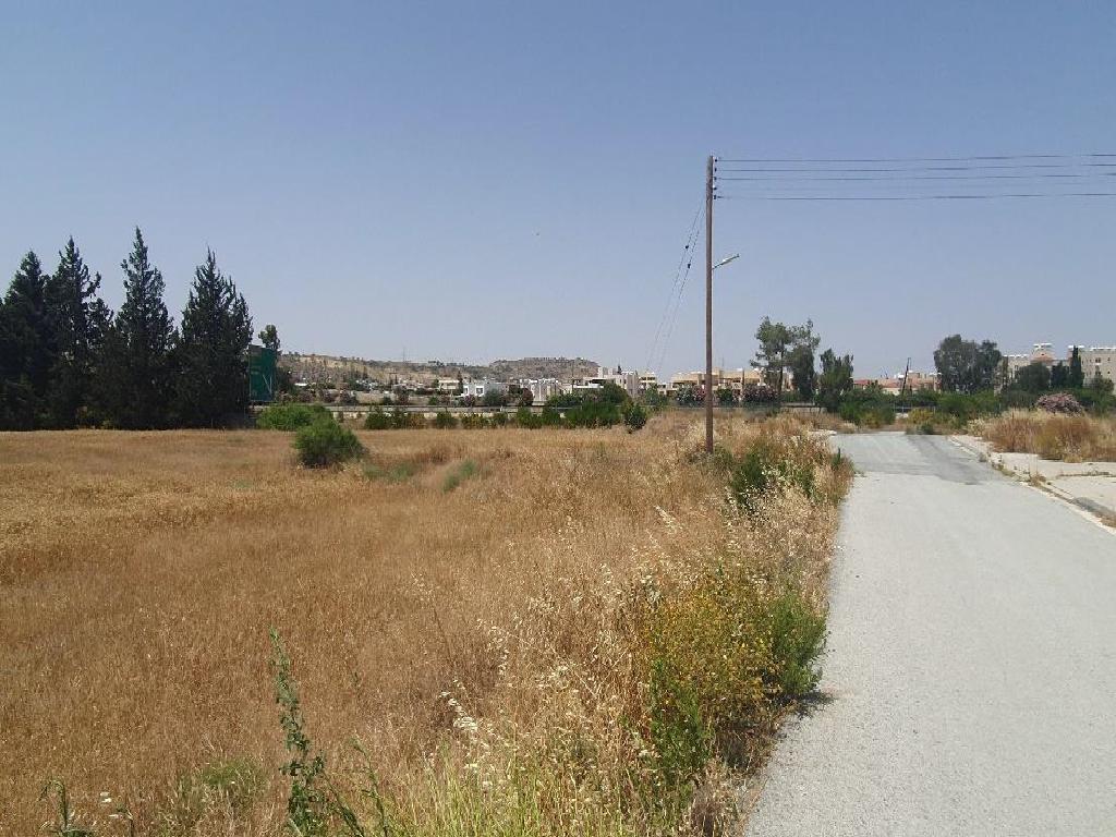 Field - Oroklini, Larnaca