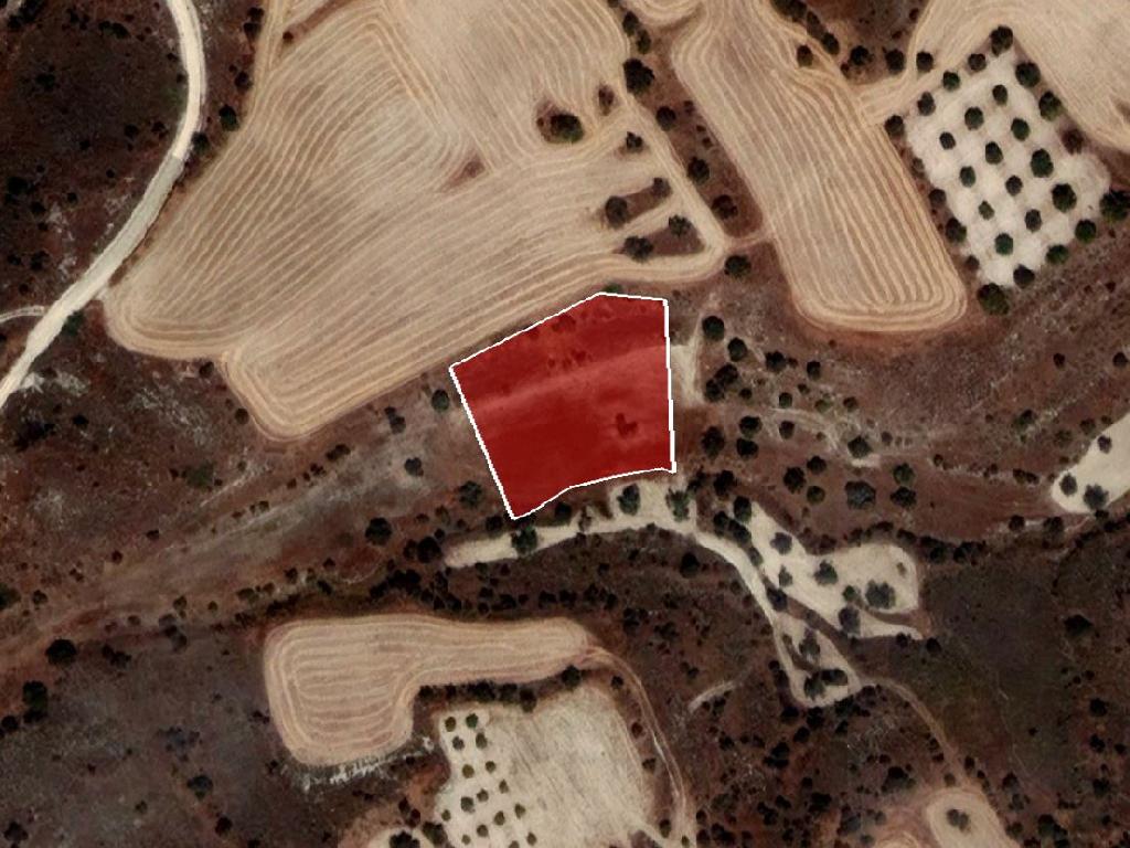 Field-Alambra-PR34296